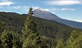 see Mount Teide via road bike cycling tour