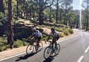 road bike cycling tour in Tenerife