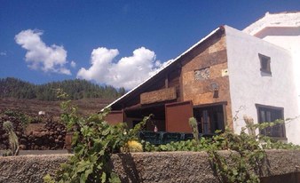 The First Wine Bus Tour