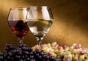 bottomless wine at First Wine Tour in Tenerife