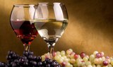 bottomless wine at First Wine Tour in Tenerife