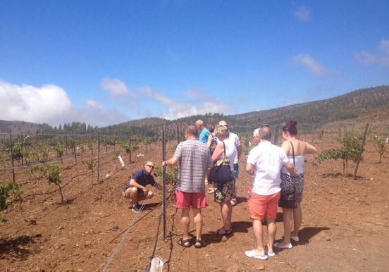 Viñedos Angola in Villaflor South Tenerife