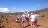 Viñedos Angola in Villaflor South Tenerife