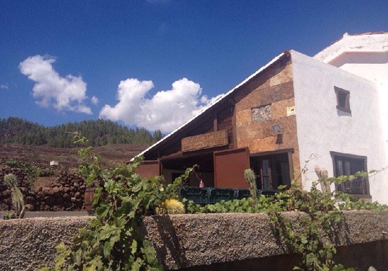wine tour at Viñedos Angola in Villaflor