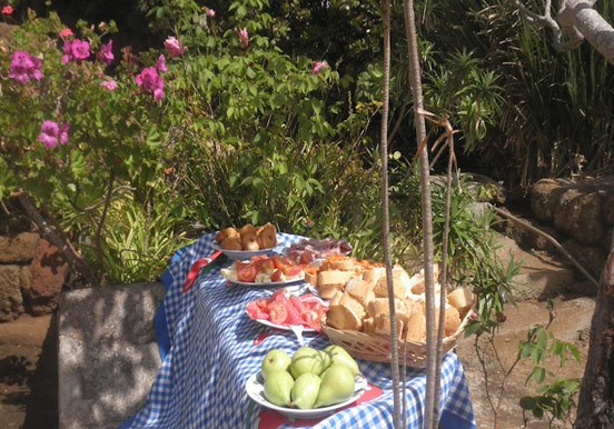 Freshly prepared picnic lunch.jpg