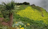 Hiking in Anaga Tenerife.jpg