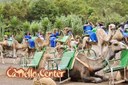 Bus tour with Camel ride.jpg