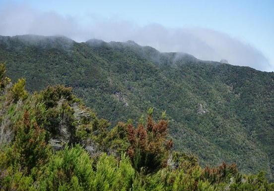 The Anaga mountains in Tenerife.jpg