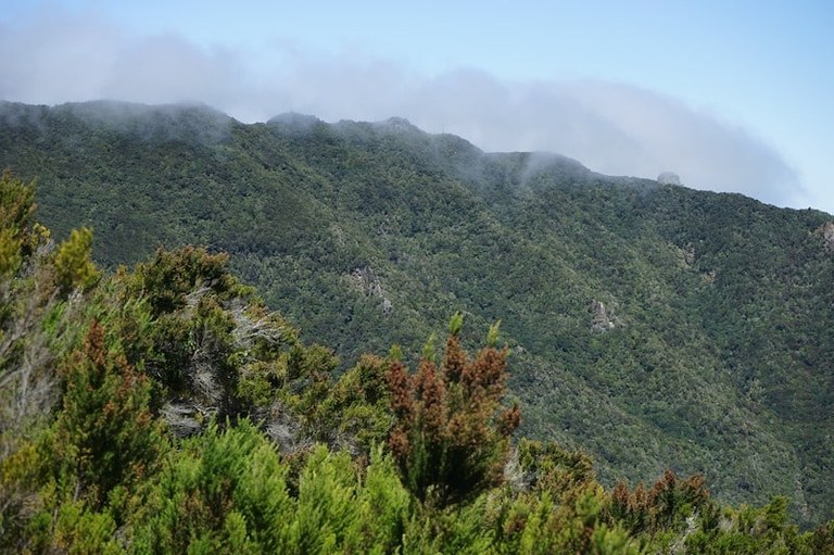 The Anaga mountains in Tenerife.jpg
