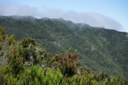 The Anaga mountains in Tenerife.jpg