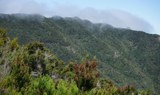 The Anaga mountains in Tenerife.jpg