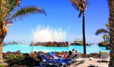 Lago Martianez in summer
