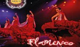 come see flamenco show at Casa Abaco in Tenerife
