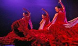 watch flamenco show at Casa Abaco