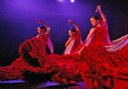 watch flamenco show at Casa Abaco