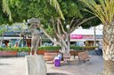 Los Cristianos resort Tenerife.jpg