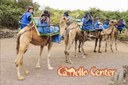 Camel riding Tenerife bus tour.jpg