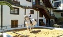 horse dressage show Abaco Tenerife.jpg