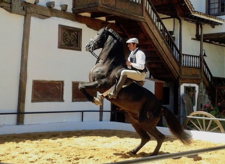 Horse show Tenerife Abaco.jpg