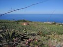 Mirador de San Pedro Bus Tour.jpg