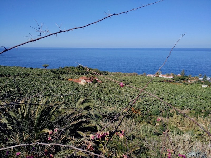 Mirador de San Pedro Bus Tour.jpg