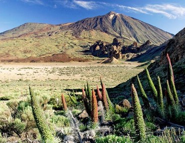 Teide National Park Bus Tour (north pick-up)