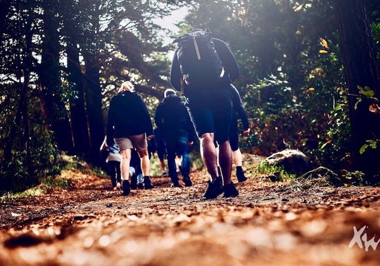 Hiking in the laurisilva forest in Tenerife.jpg