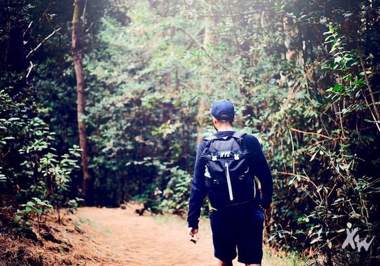 Tenerife hike in laurisilva forest.jpg