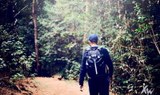 Tenerife hike in laurisilva forest.jpg