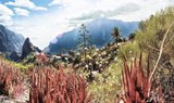 Amazing landscape view Masca hike.jpg