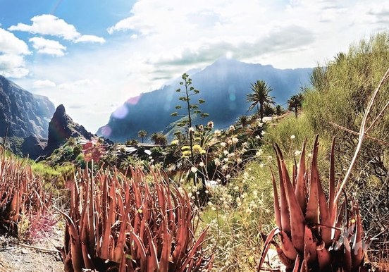 Amazing landscape view Masca hike.jpg