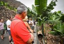 banana trees in La Gomera jeep safari