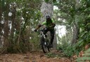 mountain bike tour through nature reserve in Tenerife