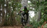 mountain bike tour through nature reserve in Tenerife