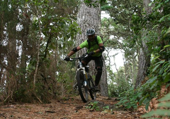 mountain bike tour through nature reserve in Tenerife