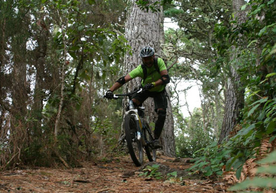 mountain bike tour through nature reserve in Tenerife