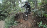 bike tour adventure in Tenerife