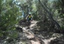 Mountain bike adventure in Tenerife