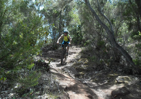 Mountain bike adventure in Tenerife