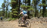 mountain bike through dirt tracks in Tenerife