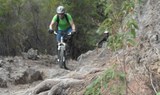 mountain bike tour through La Guancha
