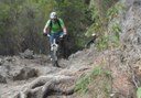 mountain bike tour through La Guancha