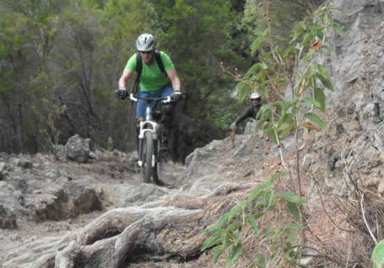 mountain bike tour through La Guancha