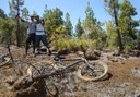 mountain bike tour in Tenerife