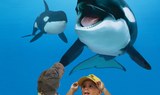 killer whales in Loro Park
