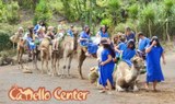 Tenerife bus tour with camel ride-min.jpg