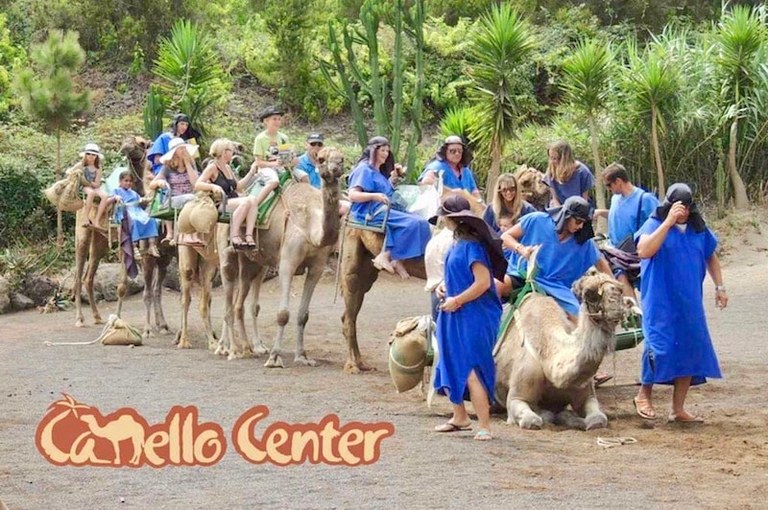Tenerife bus tour with camel ride-min.jpg