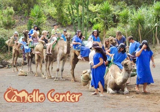 Tenerife bus tour with camel ride-min.jpg