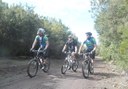mountain bike tour in Tenerife