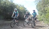 mountain bike tour in Tenerife